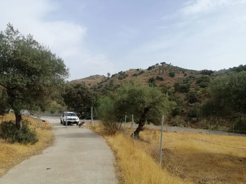 Plot - Commercial Plot в продаже в Cártama, Málaga. Площадь участка 2000000 м²