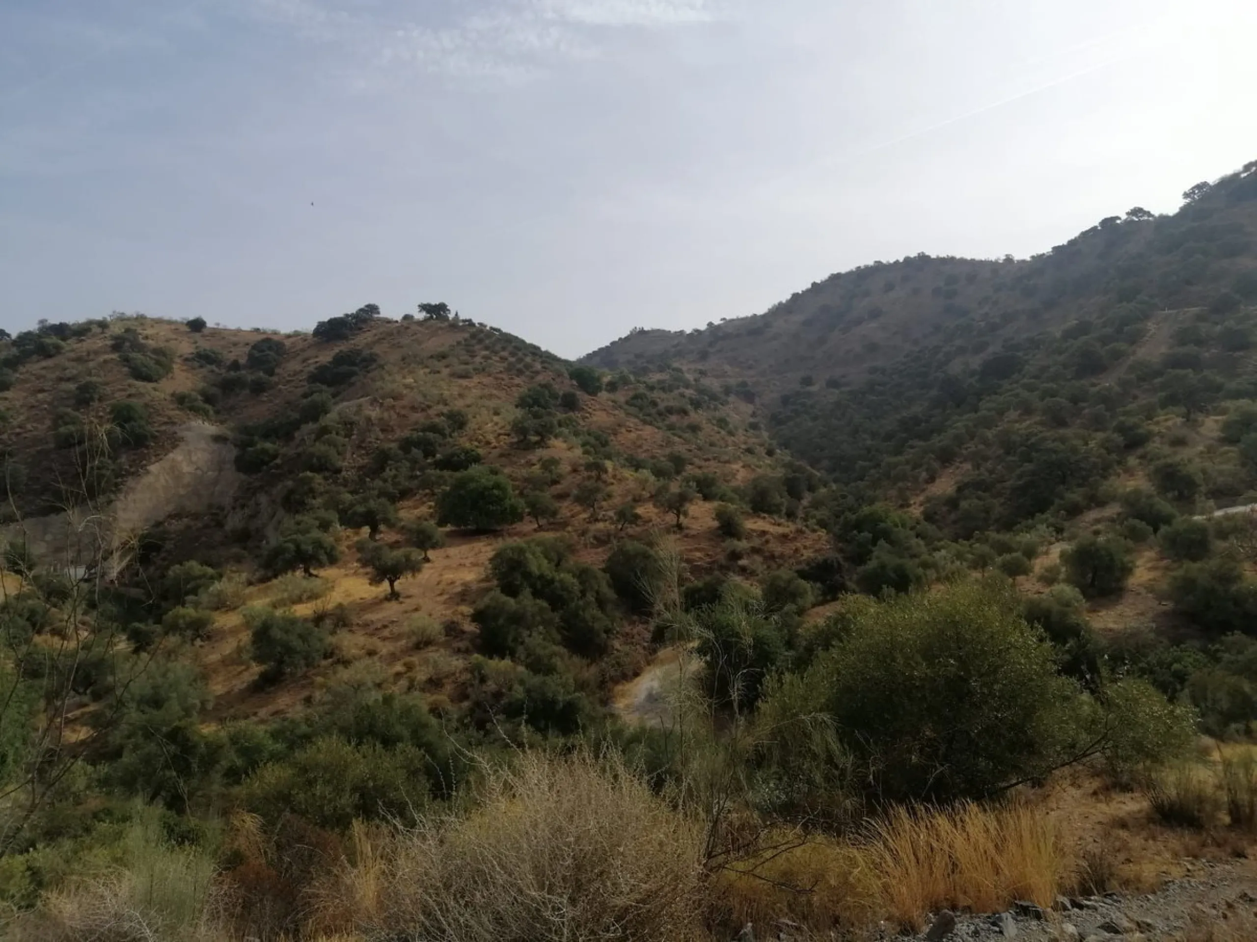 Plot - Commercial Plot в продаже в Cártama, Málaga. Площадь участка 2000000 м²
