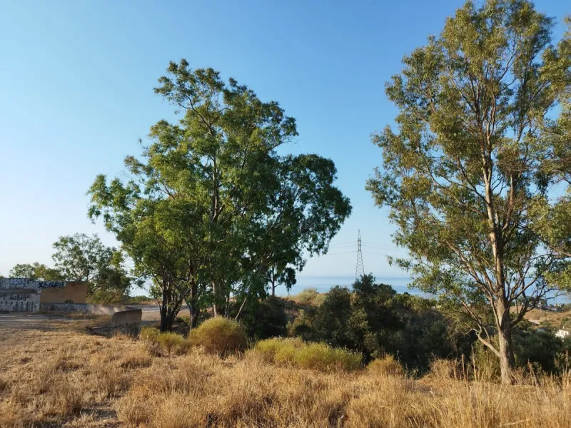 Located in one of the best positioned areas with the best views in the prestigious municipality of Benajarafe, we are pleased to present this magnificent investment. This is a plot of 95.509 m2, which has a buildable area of 21.873m2, with a construction 