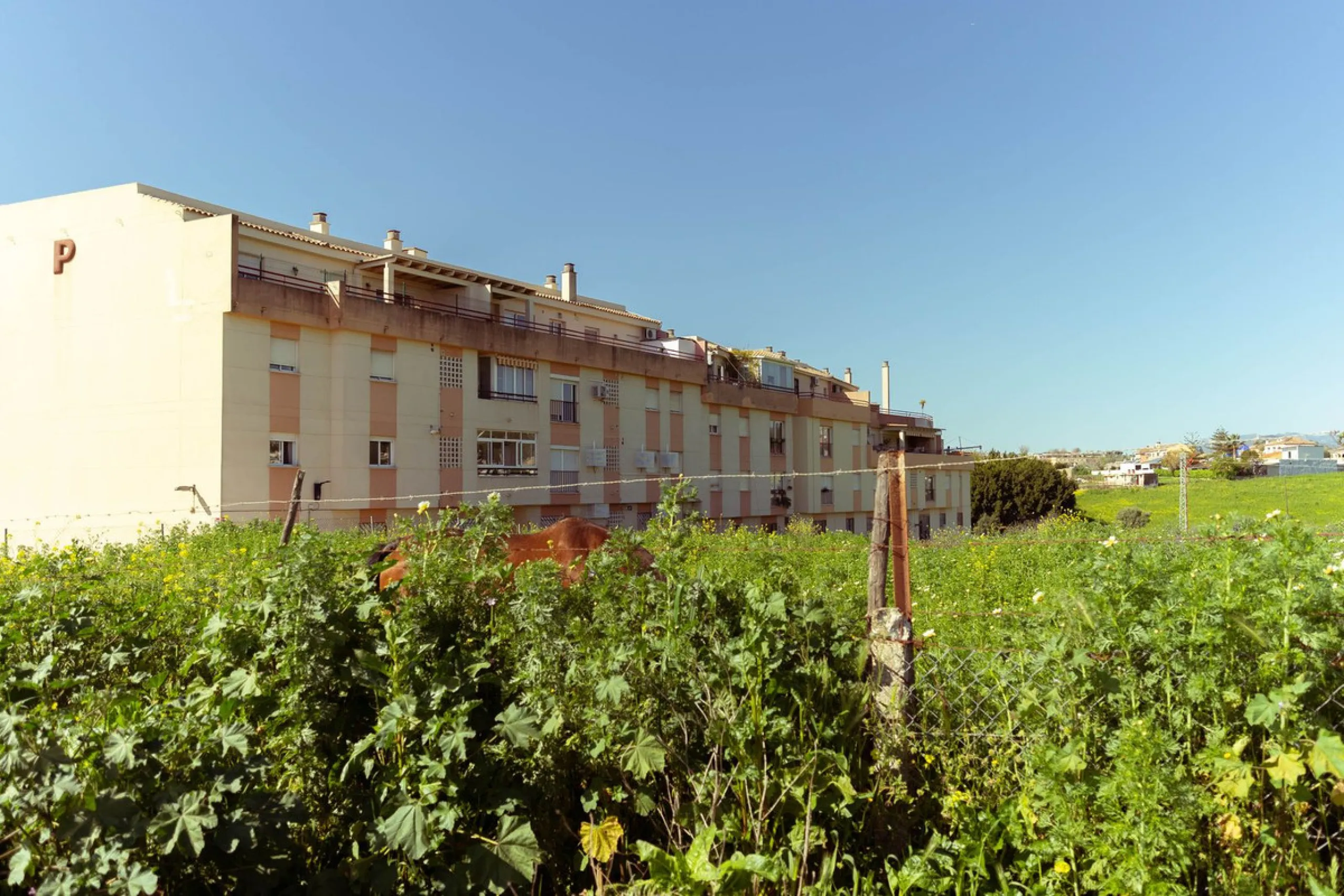 Apartment - Middle Floor Apartment в продаже в Mijas, Málaga. В доме 3 спален и 2 ванных комнат. Площадь дома 138 м²