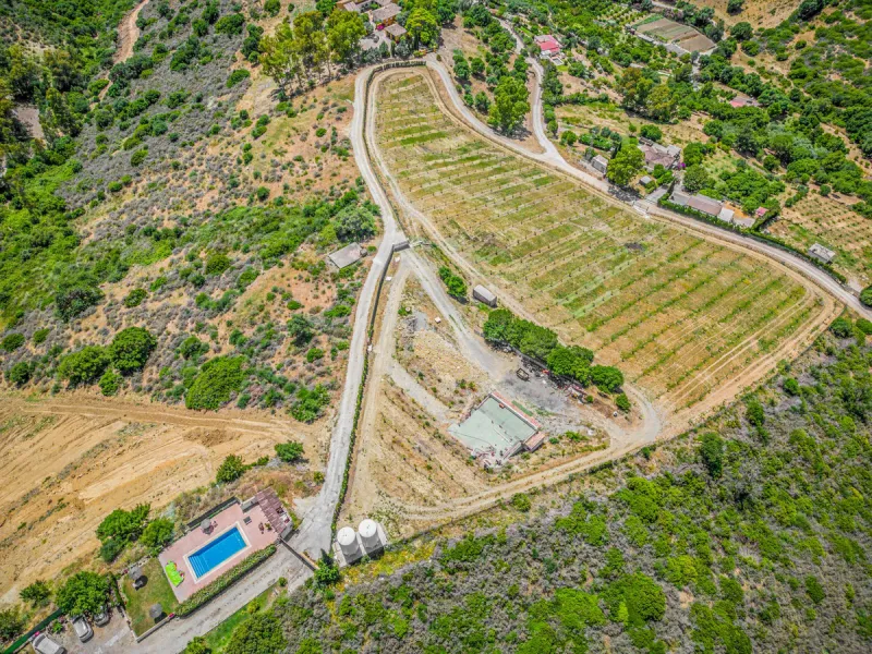 Lovely 3-bed finca with private pool and a very large plot with fruit trees in Casares.