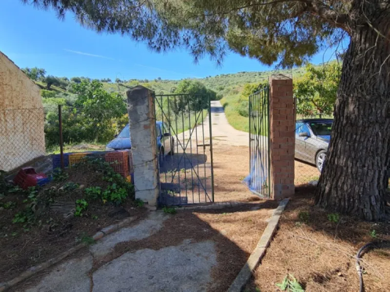 Great opportunity to purchase a total of more than 22.000m2 of land in the area of Tolox, offering different fruit trees, avocado trees and olive trees. There are two plots next to eachother which are to be sold, one plot has a small farm house and has a 
