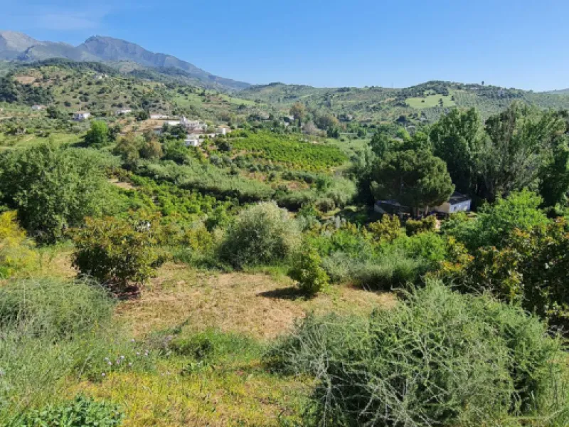 Great opportunity to purchase a total of more than 22.000m2 of land in the area of Tolox, offering different fruit trees, avocado trees and olive trees. There are two plots next to eachother which are to be sold, one plot has a small farm house and has a 