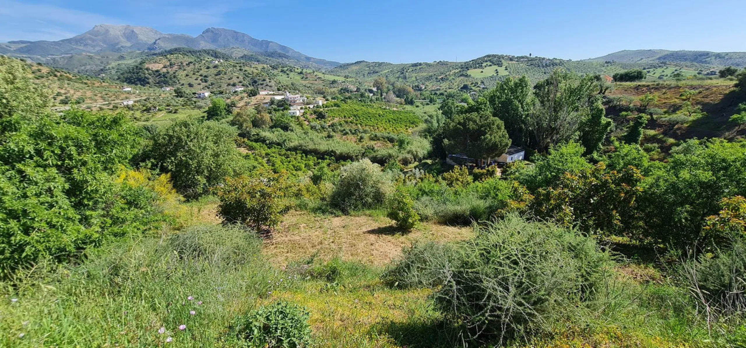 Great opportunity to purchase a total of more than 22.000m2 of land in the area of Tolox, offering different fruit trees, avocado trees and olive trees. There are two plots next to eachother which are to be sold, one plot has a small farm house and has a 