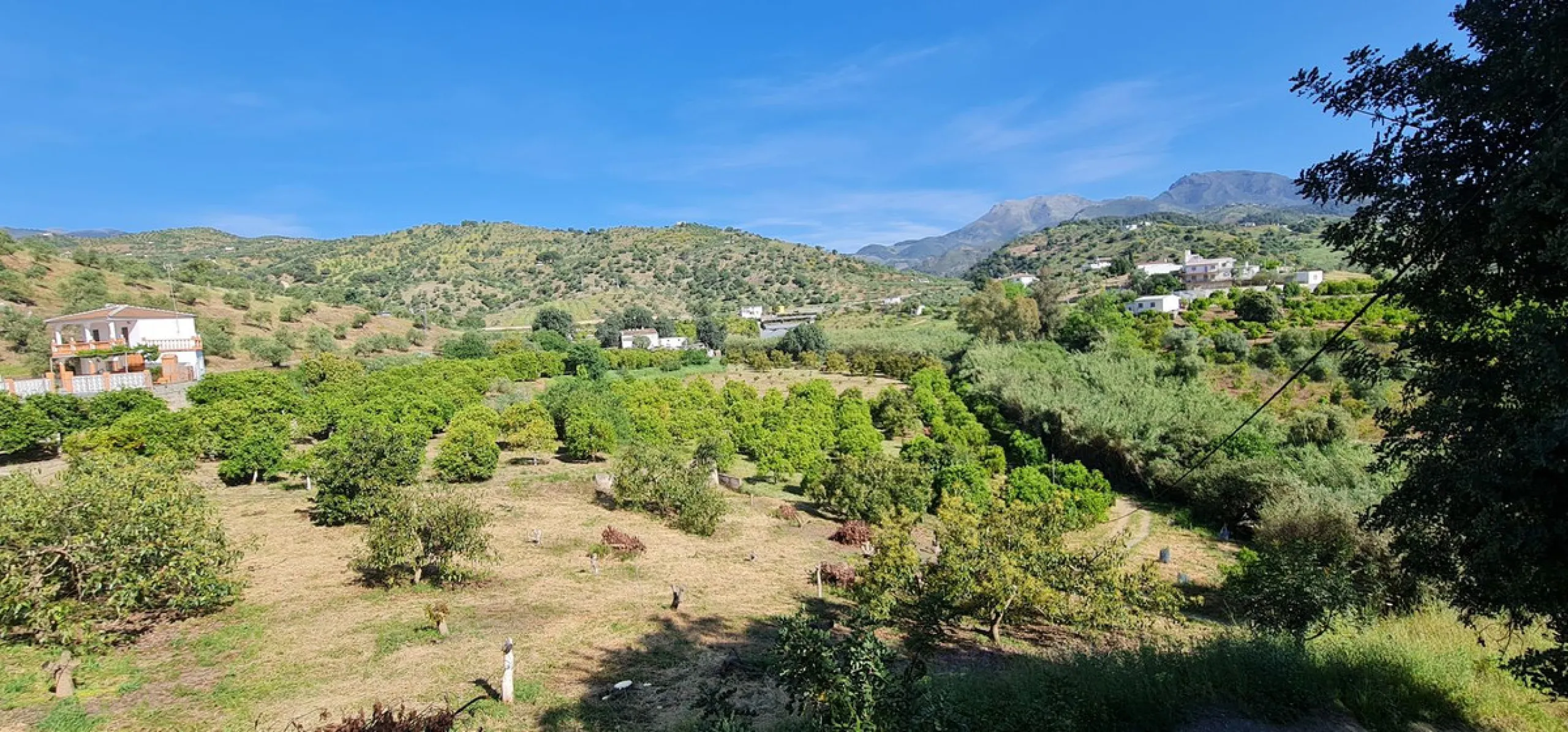 Great opportunity to purchase a total of more than 22.000m2 of land in the area of Tolox, offering different fruit trees, avocado trees and olive trees. There are two plots next to eachother which are to be sold, one plot has a small farm house and has a 