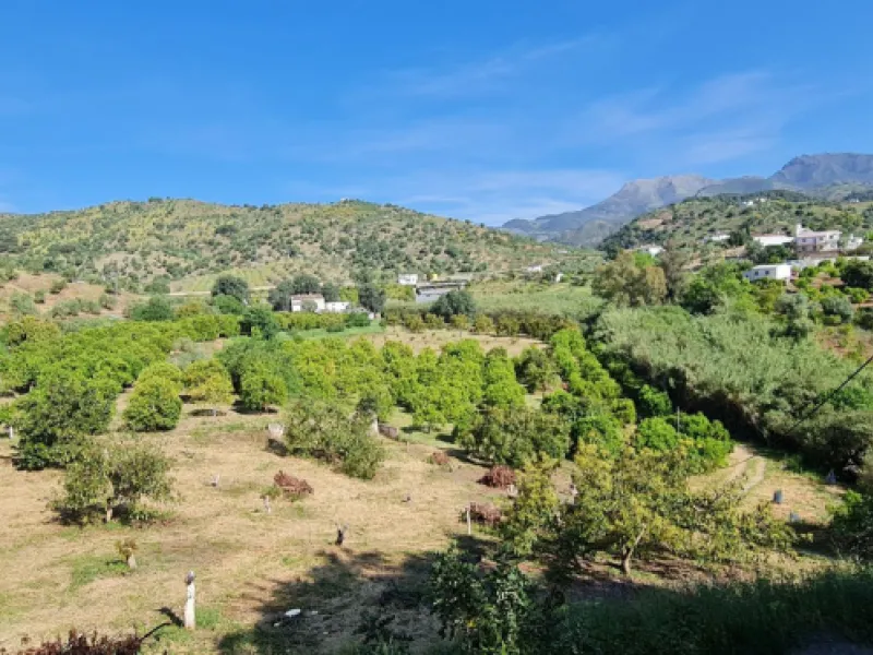 Great opportunity to purchase a total of more than 22.000m2 of land in the area of Tolox, offering different fruit trees, avocado trees and olive trees. There are two plots next to eachother which are to be sold, one plot has a small farm house and has a 