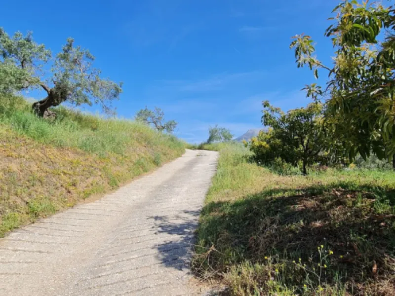 Great opportunity to purchase a total of more than 22.000m2 of land in the area of Tolox, offering different fruit trees, avocado trees and olive trees. There are two plots next to eachother which are to be sold, one plot has a small farm house and has a 
