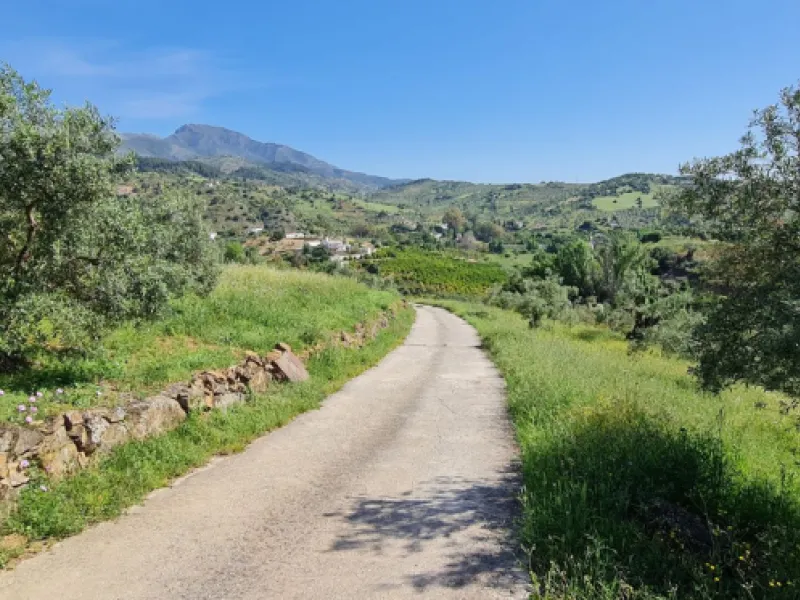 Great opportunity to purchase a total of more than 22.000m2 of land in the area of Tolox, offering different fruit trees, avocado trees and olive trees. There are two plots next to eachother which are to be sold, one plot has a small farm house and has a 