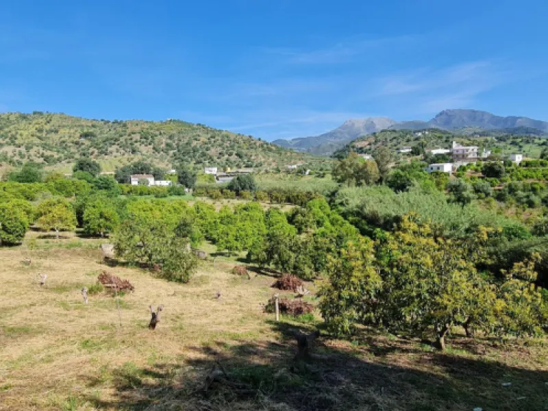 Great opportunity to purchase a total of more than 22.000m2 of land in the area of Tolox, offering different fruit trees, avocado trees and olive trees. There are two plots next to eachother which are to be sold, one plot has a small farm house and has a 