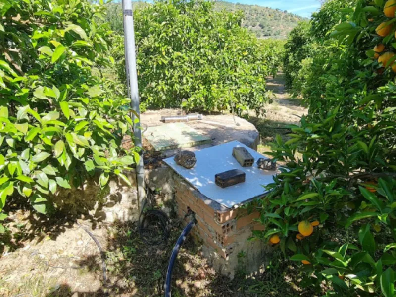 Great opportunity to purchase a total of more than 22.000m2 of land in the area of Tolox, offering different fruit trees, avocado trees and olive trees. There are two plots next to eachother which are to be sold, one plot has a small farm house and has a 
