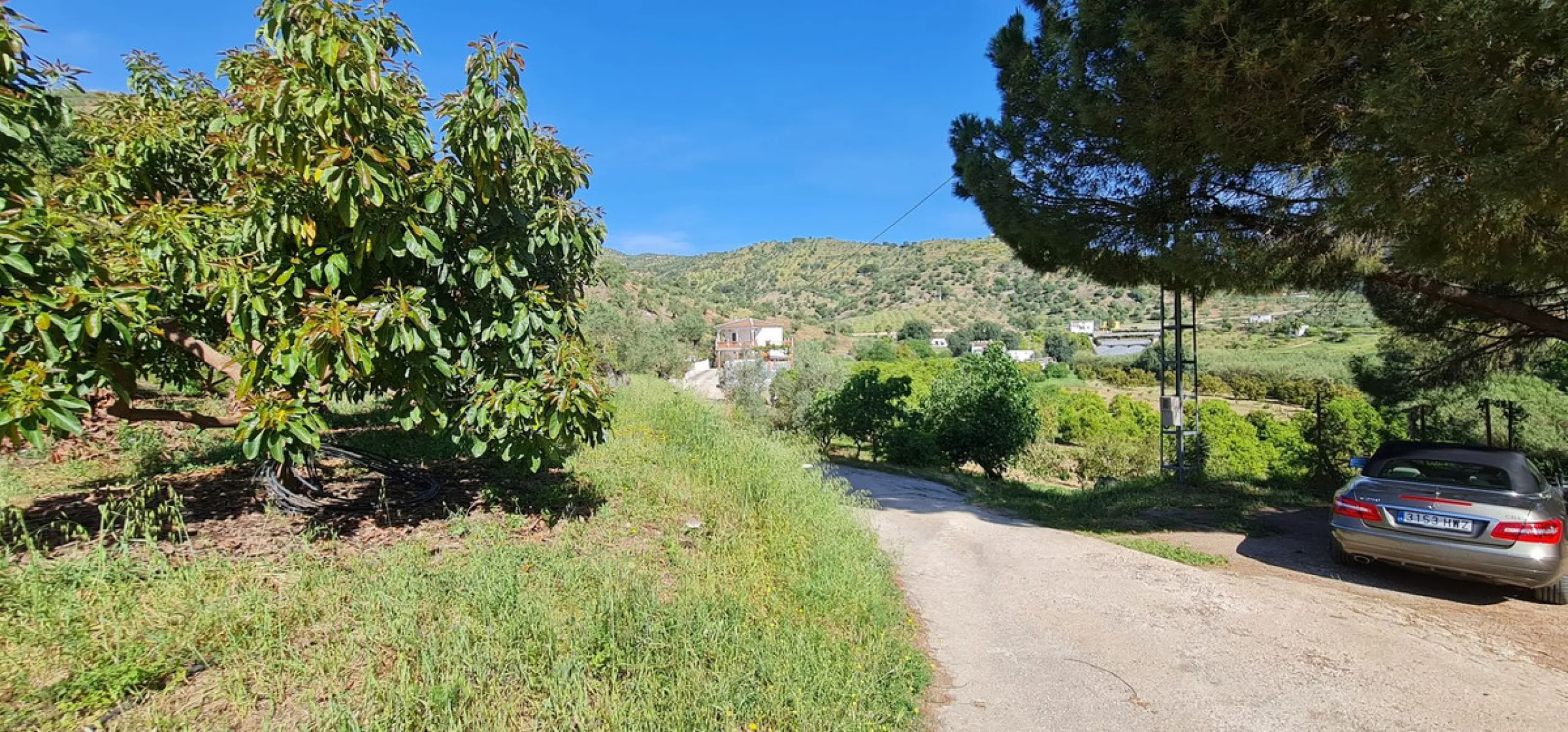 Plot - Land with Ruin в продаже в Tolox, Málaga. Площадь дома 90 м². Площадь участка 12099 м²