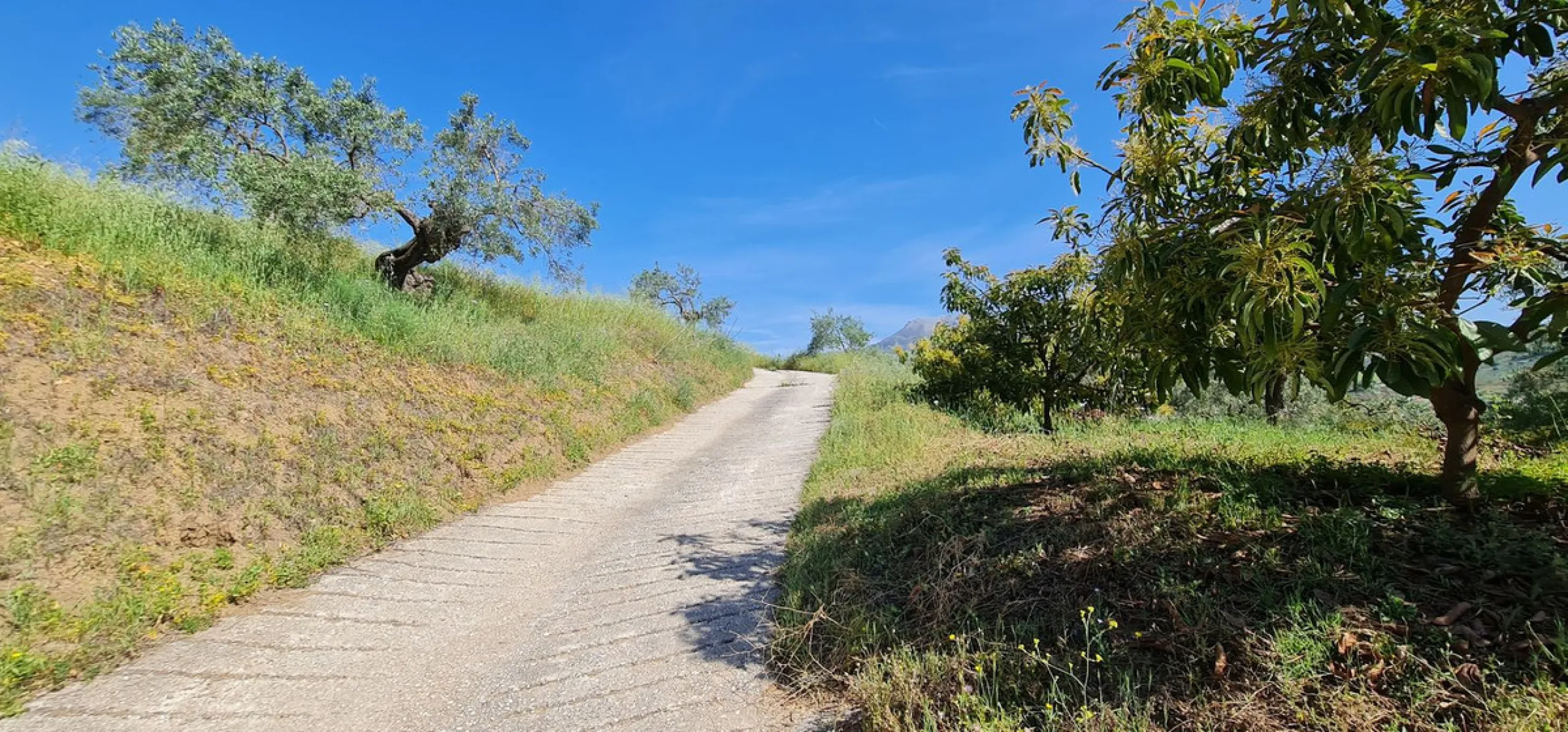 Plot - Land with Ruin в продаже в Tolox, Málaga. Площадь дома 90 м². Площадь участка 12099 м²