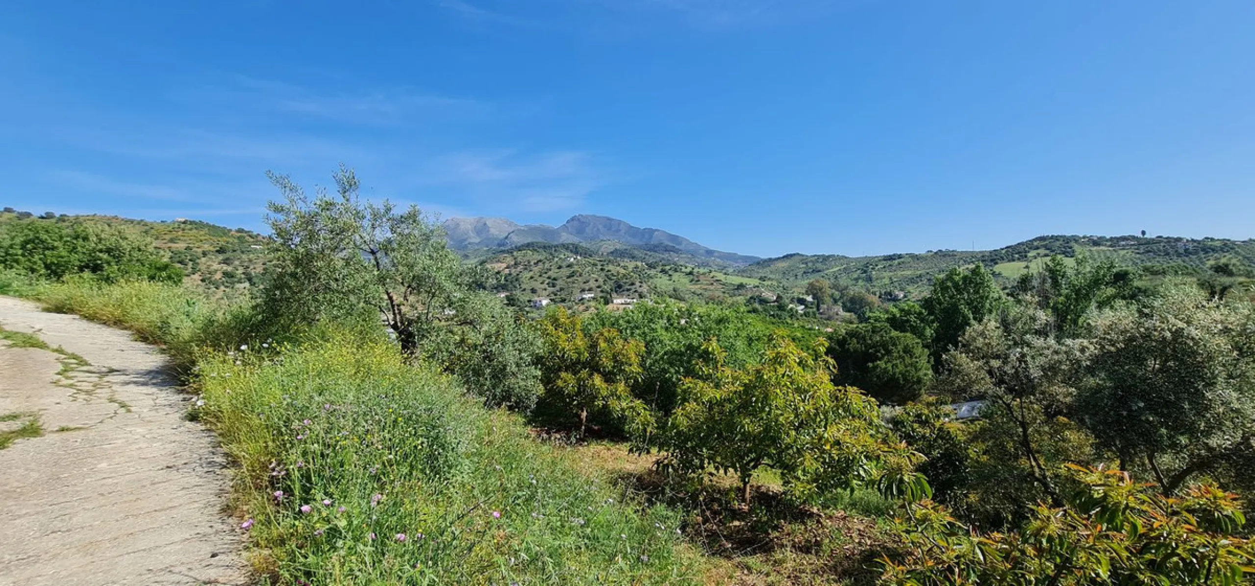 Plot - Land with Ruin в продаже в Tolox, Málaga. Площадь дома 90 м². Площадь участка 12099 м²