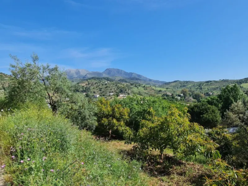 Plot - Land with Ruin в продаже в Tolox, Málaga. Площадь дома 90 м². Площадь участка 12099 м²