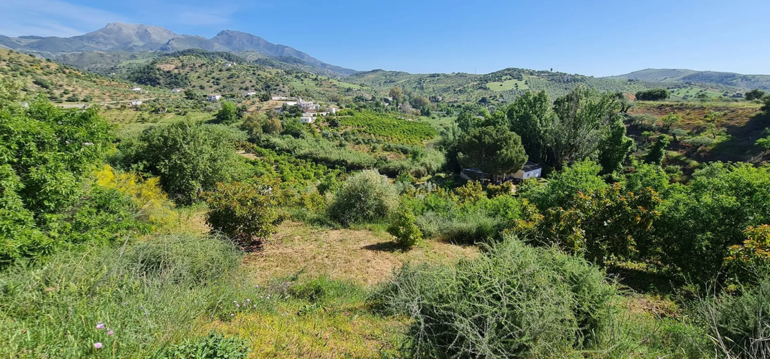 Plot - Land with Ruin в продаже в Tolox, Málaga. Площадь дома 90 м². Площадь участка 12099 м²