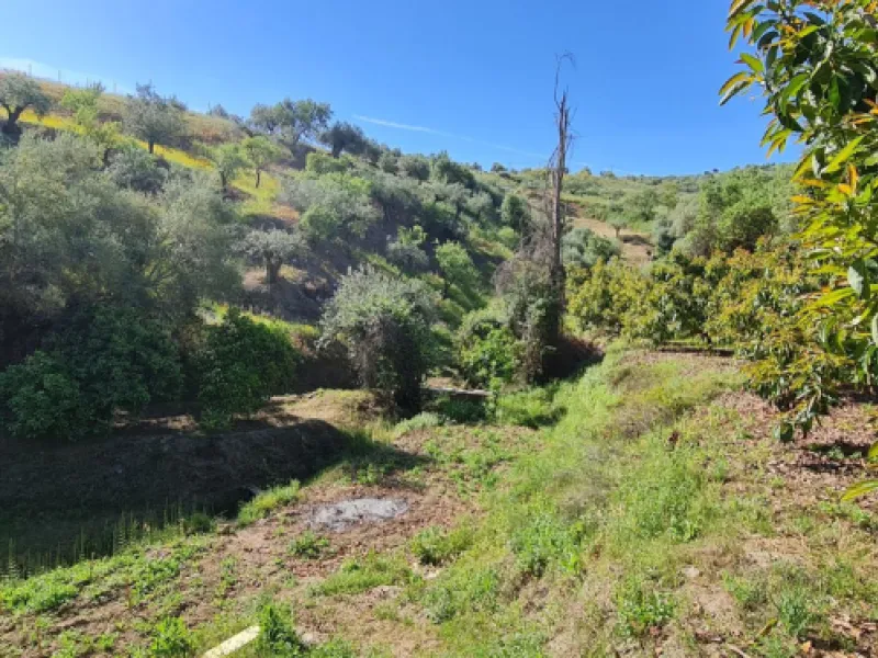 Plot - Land with Ruin в продаже в Tolox, Málaga. Площадь дома 90 м². Площадь участка 12099 м²