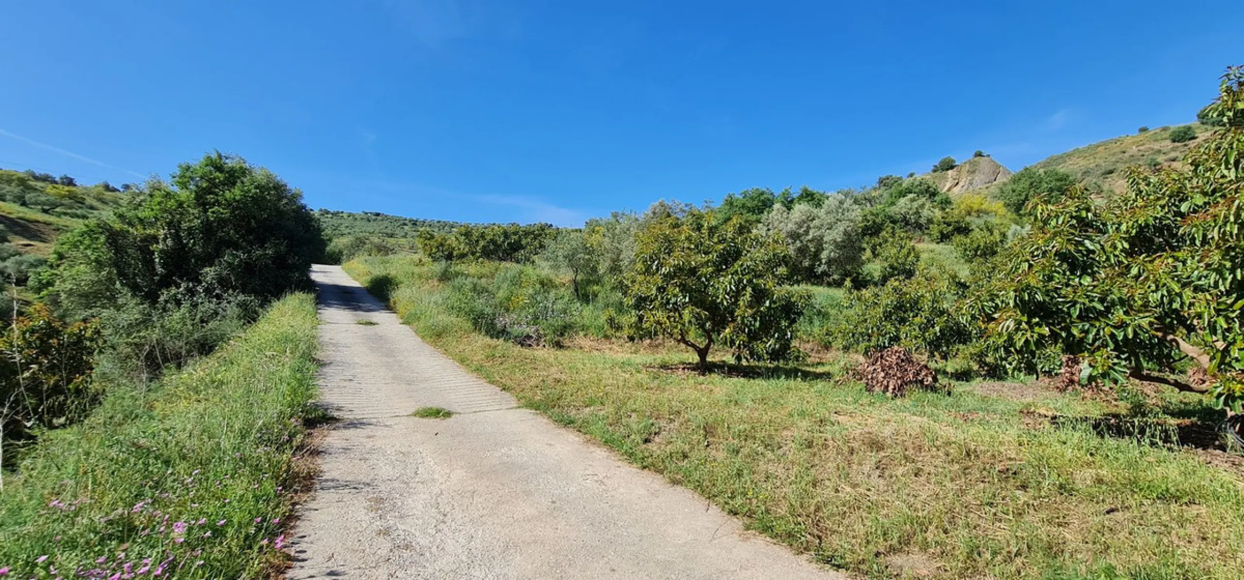 Plot - Land with Ruin в продаже в Tolox, Málaga. Площадь дома 90 м². Площадь участка 12099 м²