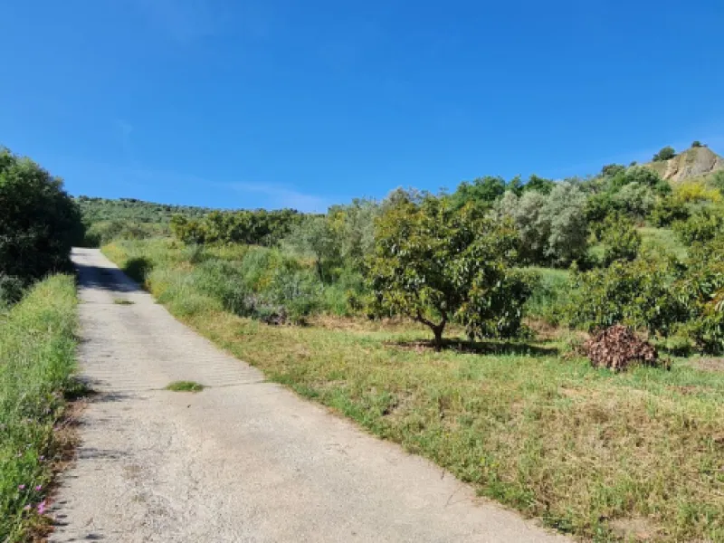 Plot - Land with Ruin в продаже в Tolox, Málaga. Площадь дома 90 м². Площадь участка 12099 м²