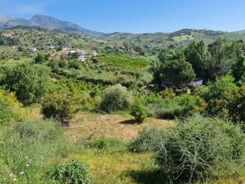 Plot - Land with Ruin в продаже в Tolox, Málaga. Площадь дома 90 м². Площадь участка 12099 м²