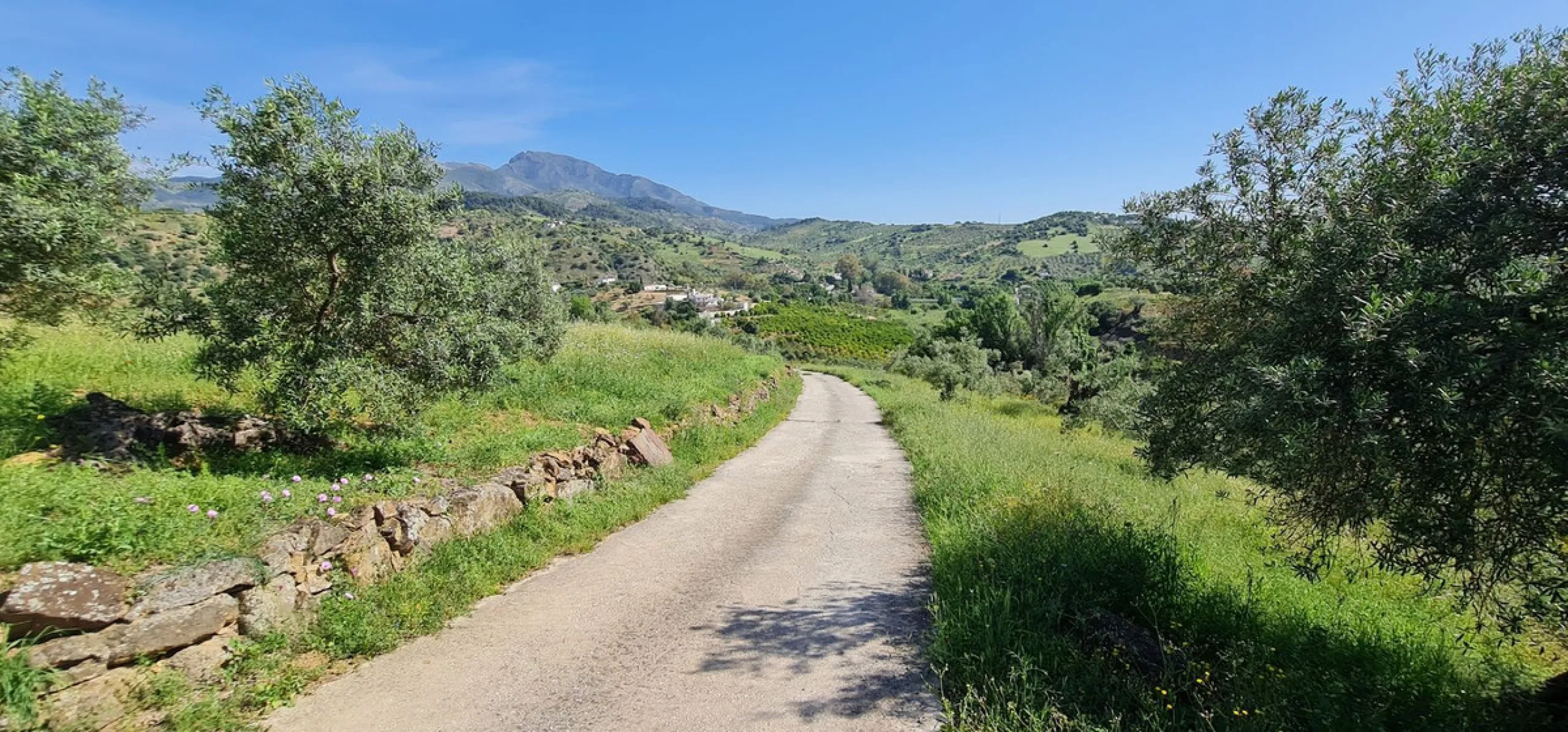 Plot - Land with Ruin в продаже в Tolox, Málaga. Площадь дома 90 м². Площадь участка 12099 м²