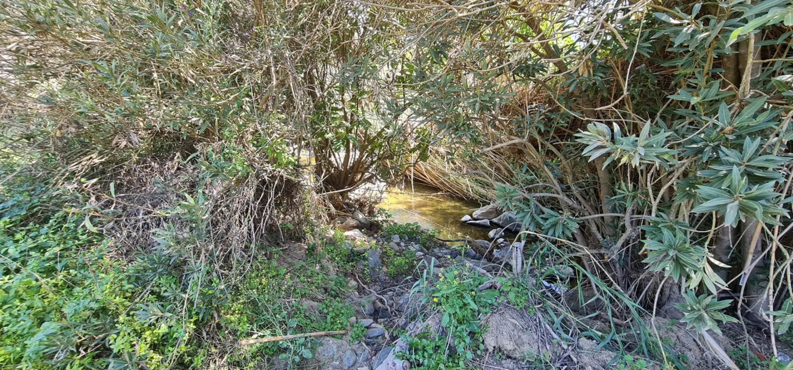 Plot - Land with Ruin в продаже в Tolox, Málaga. Площадь дома 90 м². Площадь участка 12099 м²