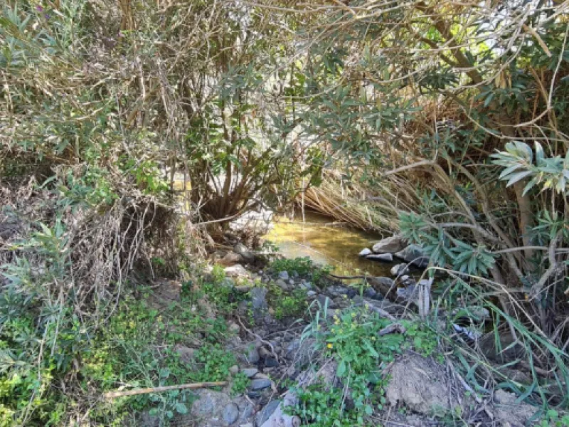 Plot - Land with Ruin в продаже в Tolox, Málaga. Площадь дома 90 м². Площадь участка 12099 м²