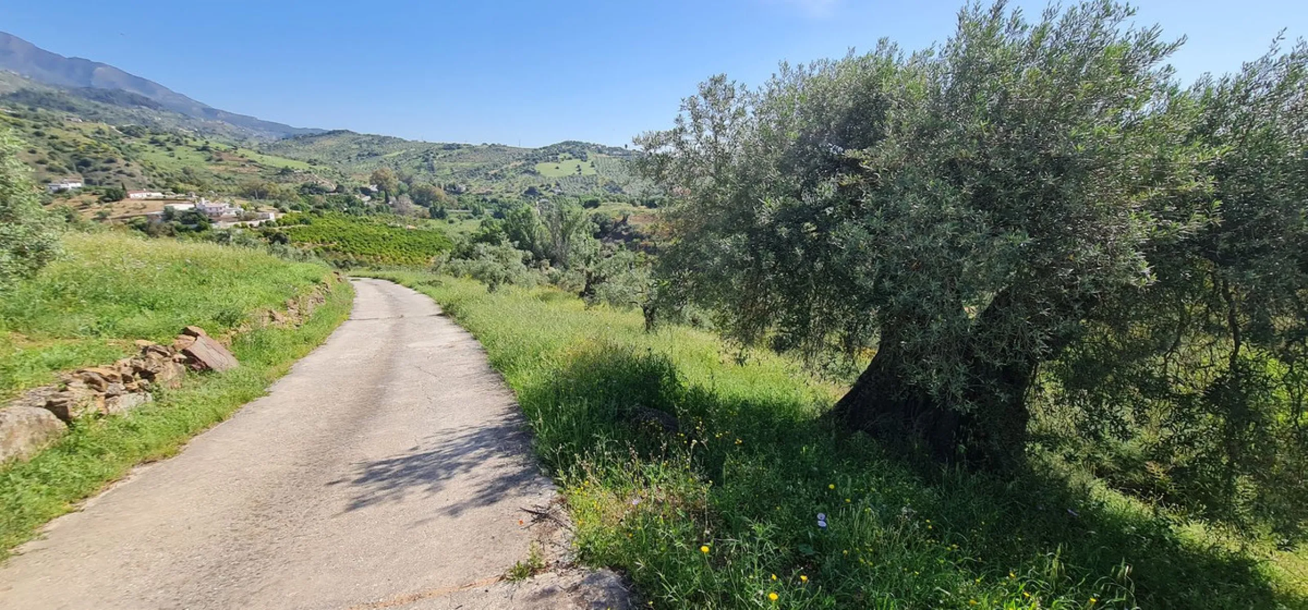 Plot - Land with Ruin в продаже в Tolox, Málaga. Площадь дома 90 м². Площадь участка 12099 м²