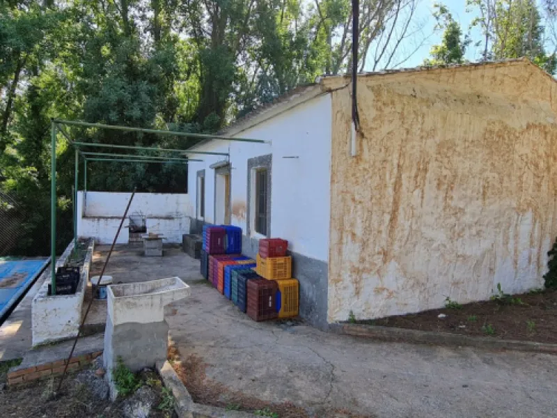 Plot - Land with Ruin в продаже в Tolox, Málaga. Площадь дома 90 м². Площадь участка 12099 м²
