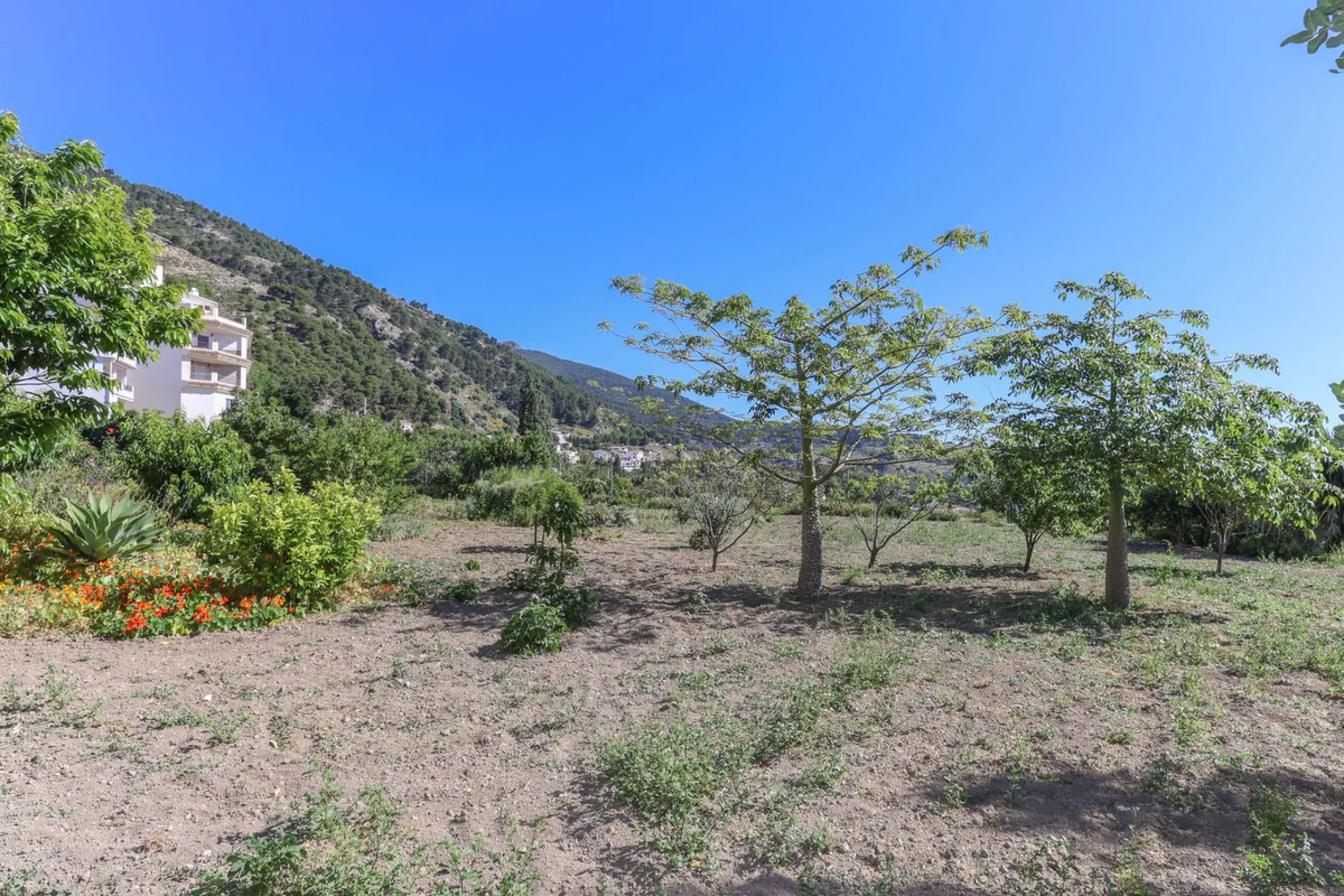 House - Townhouse в продаже в Casarabonela, Málaga. В доме 4 спален и 2 ванных комнат. Площадь дома 800 м². Площадь участка 3000 м²