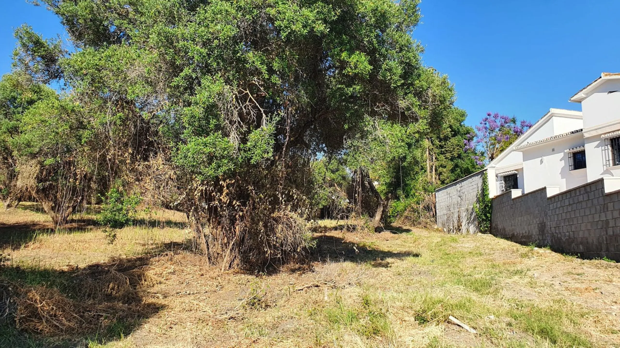 Plot - Land в продаже в Marbella, Málaga. Площадь участка 14423 м²