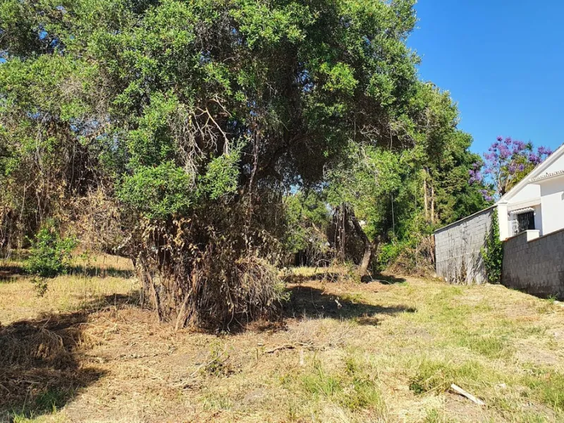 Plot - Land в продаже в Marbella, Málaga. Площадь участка 14423 м²