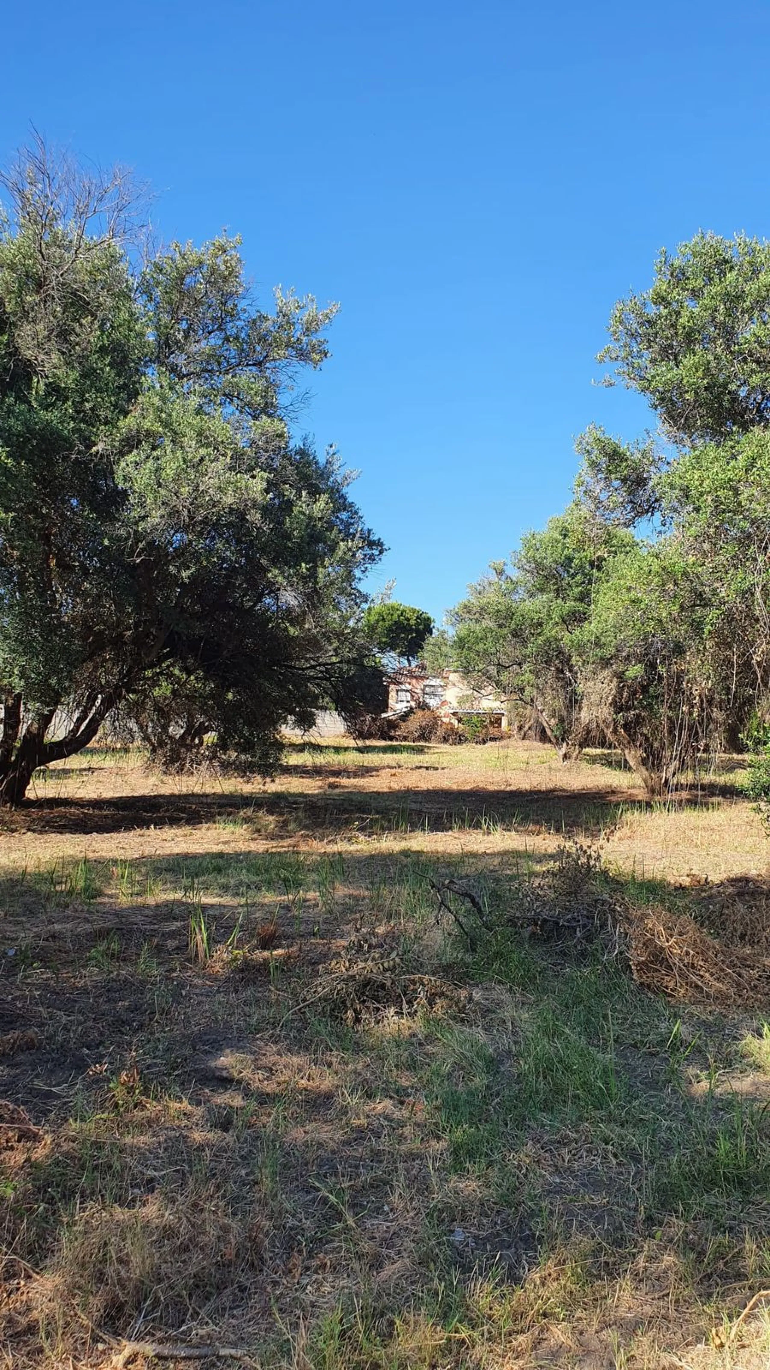 Plot - Land в продаже в Marbella, Málaga. Площадь участка 14423 м²