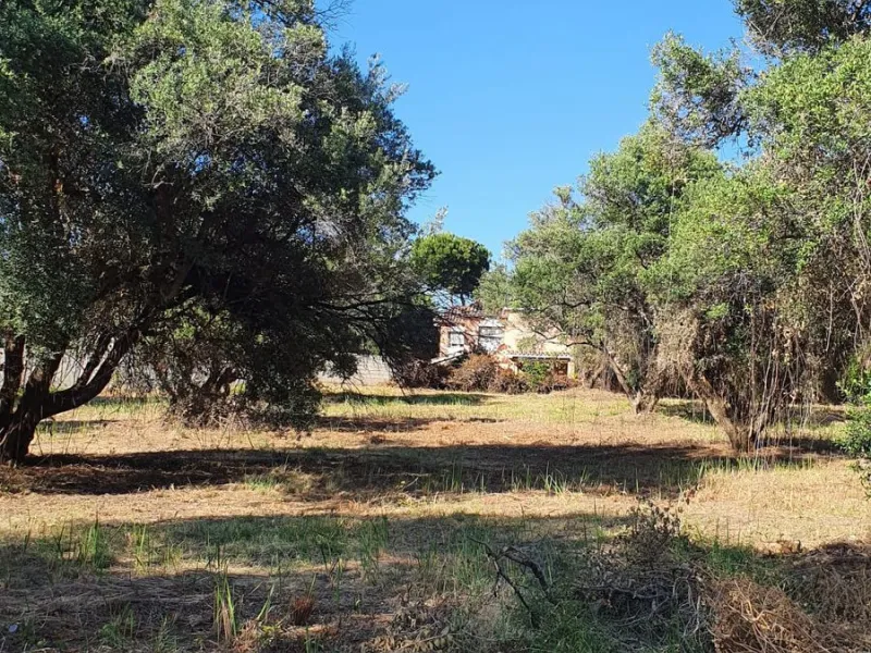 Plot - Land в продаже в Marbella, Málaga. Площадь участка 14423 м²