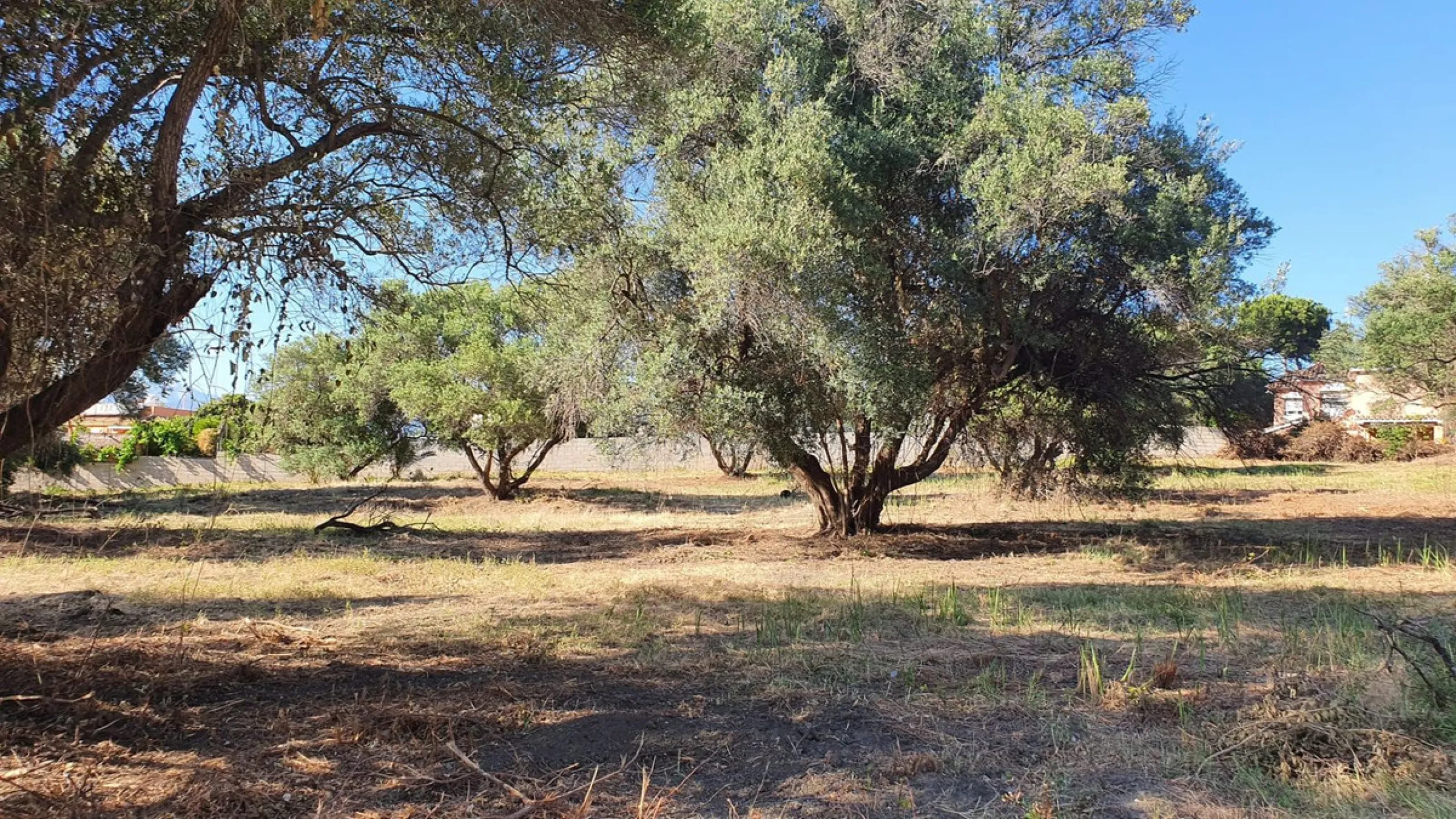 Plot - Land в продаже в Marbella, Málaga. Площадь участка 14423 м²