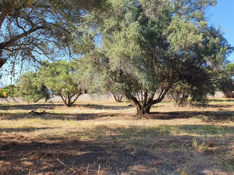 Plot - Land в продаже в Marbella, Málaga. Площадь участка 14423 м²