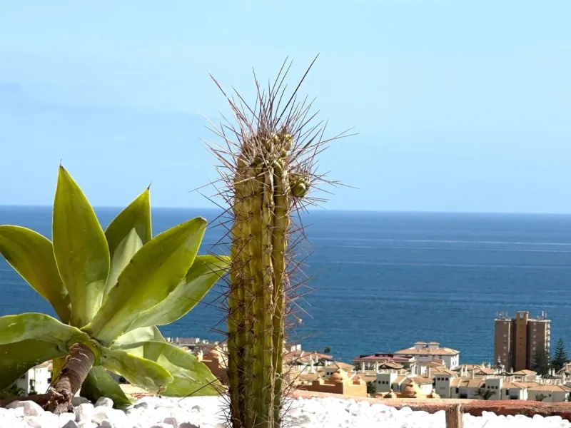 Penthouse, La Duquesa, Costa del Sol.