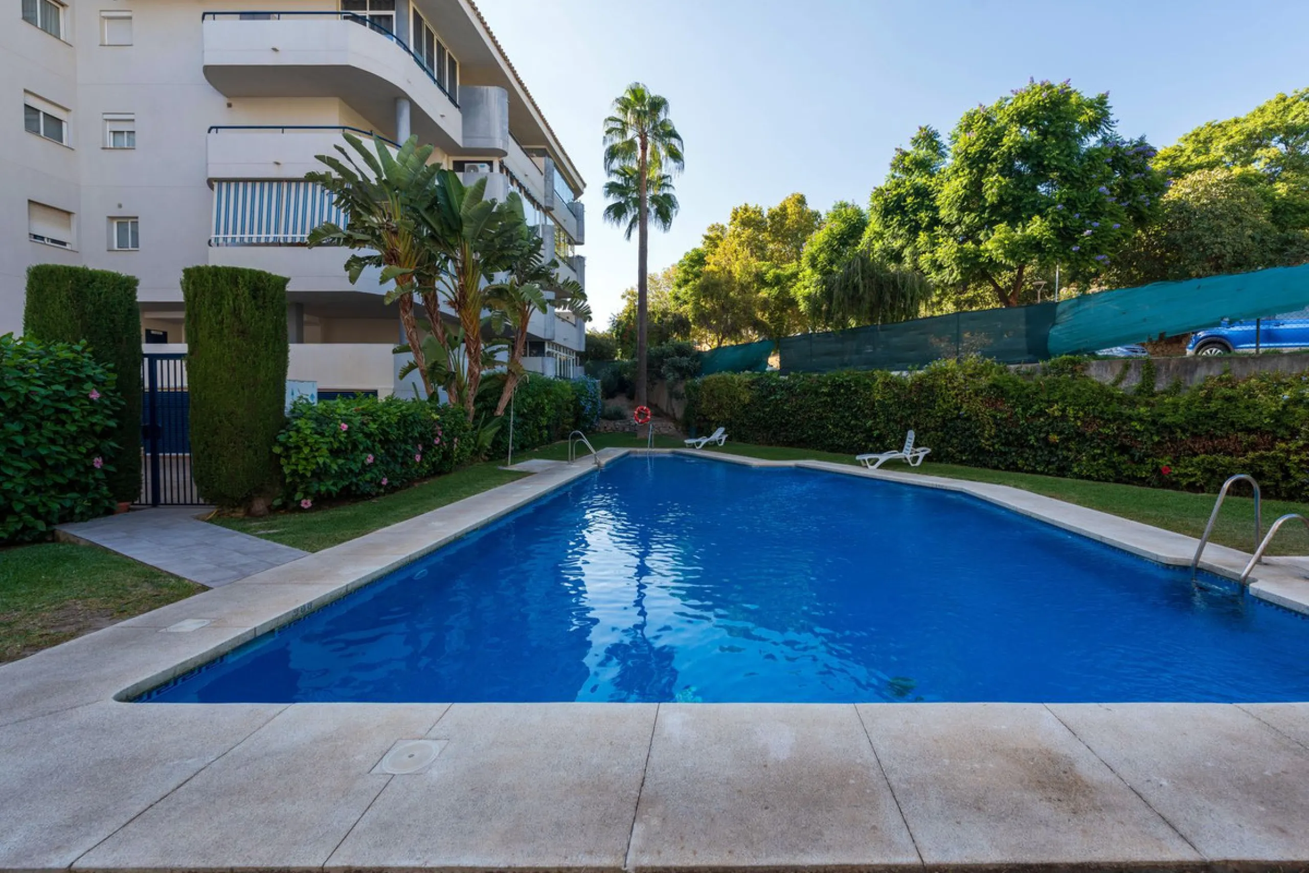 Fantastic Opportunity in Los Pacos!