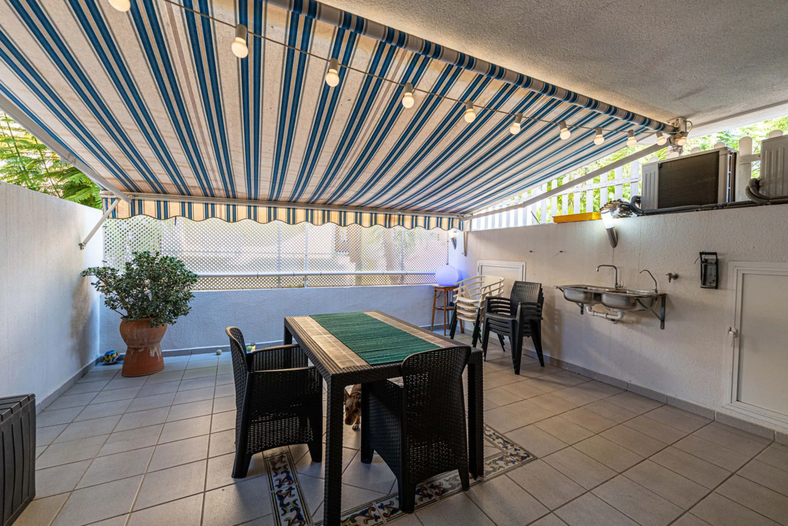 Fantastic Opportunity in Los Pacos!