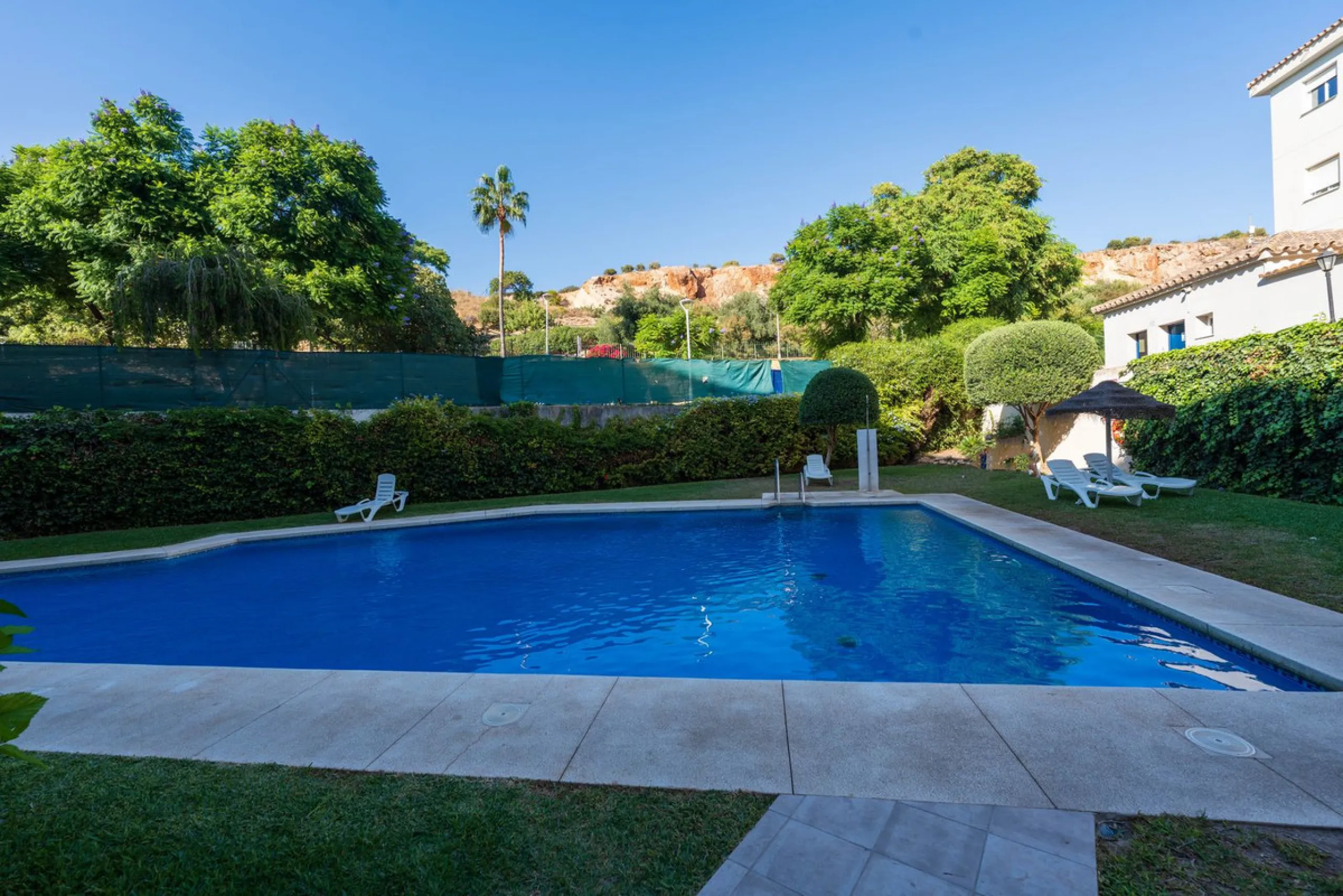 Fantastic Opportunity in Los Pacos!