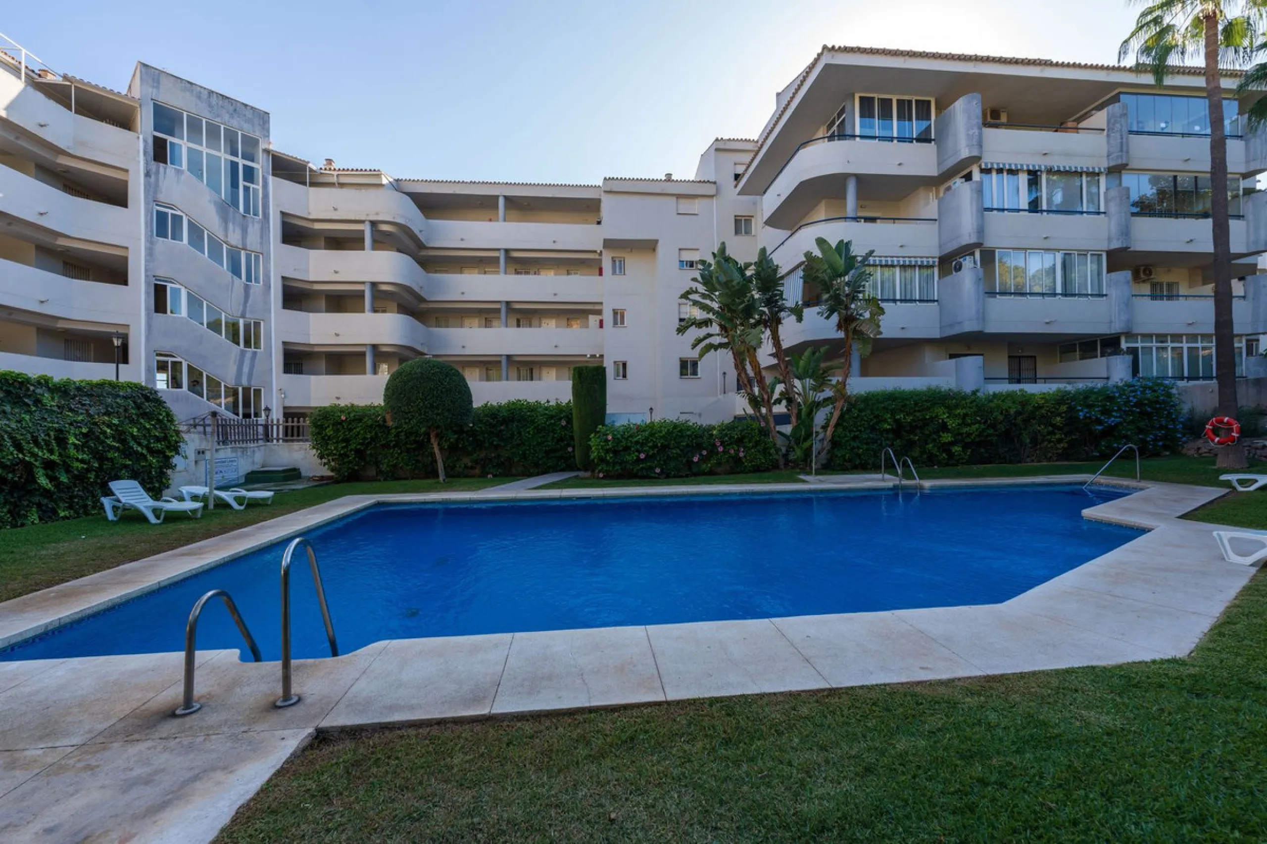 Fantastic Opportunity in Los Pacos!