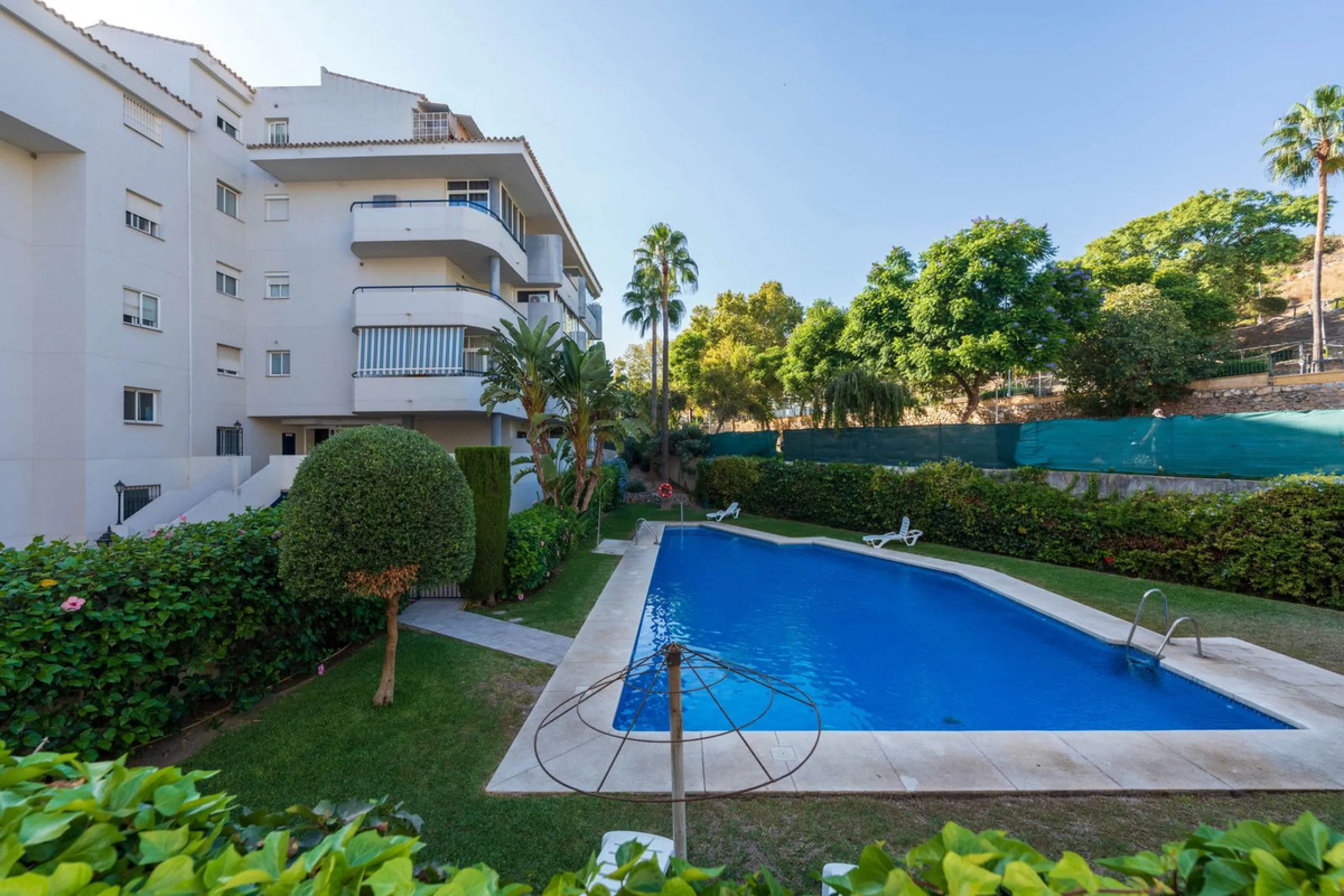 Fantastic Opportunity in Los Pacos!
