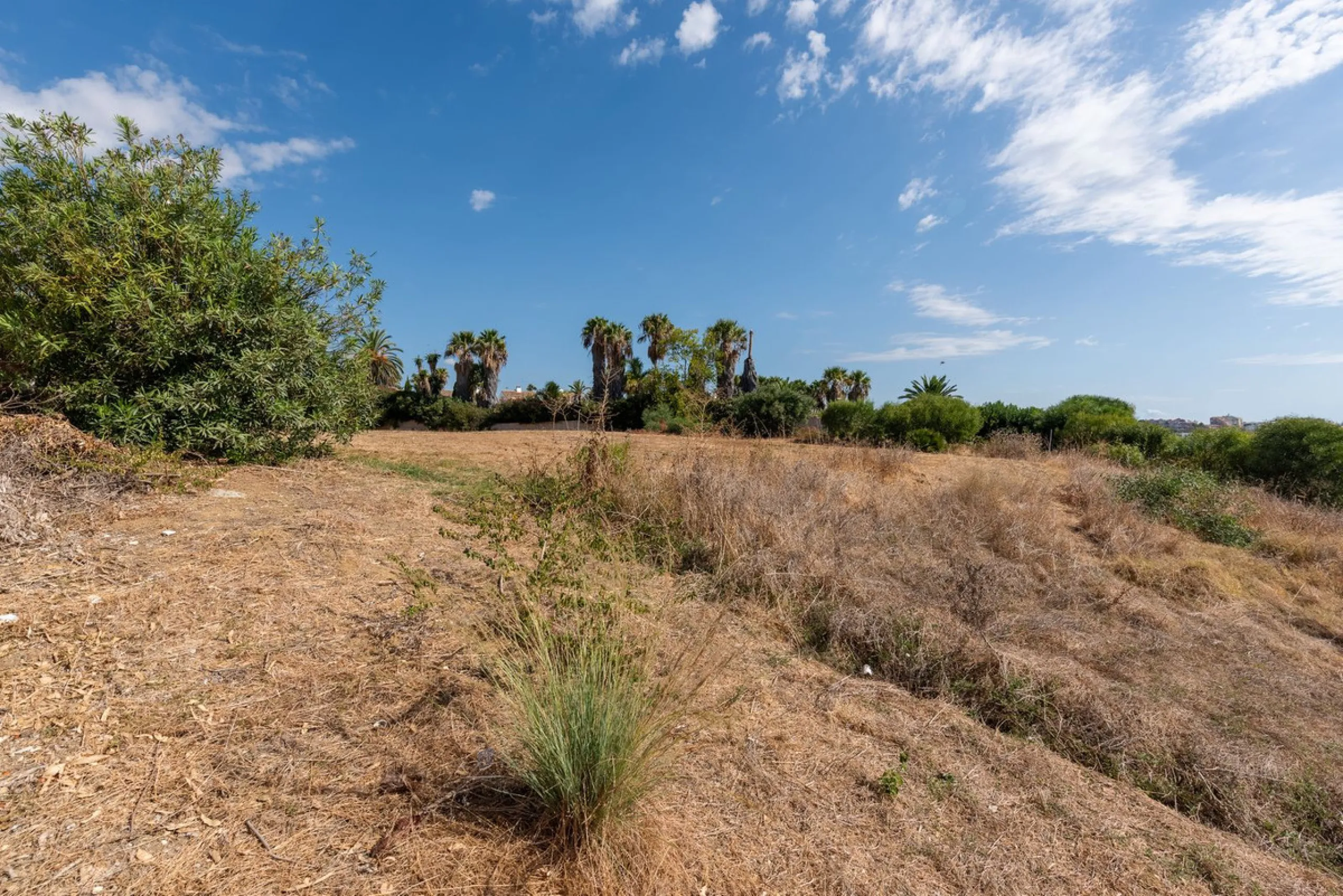 Investment Opportunity in Estepona – Villa with 8,000 m² Plot