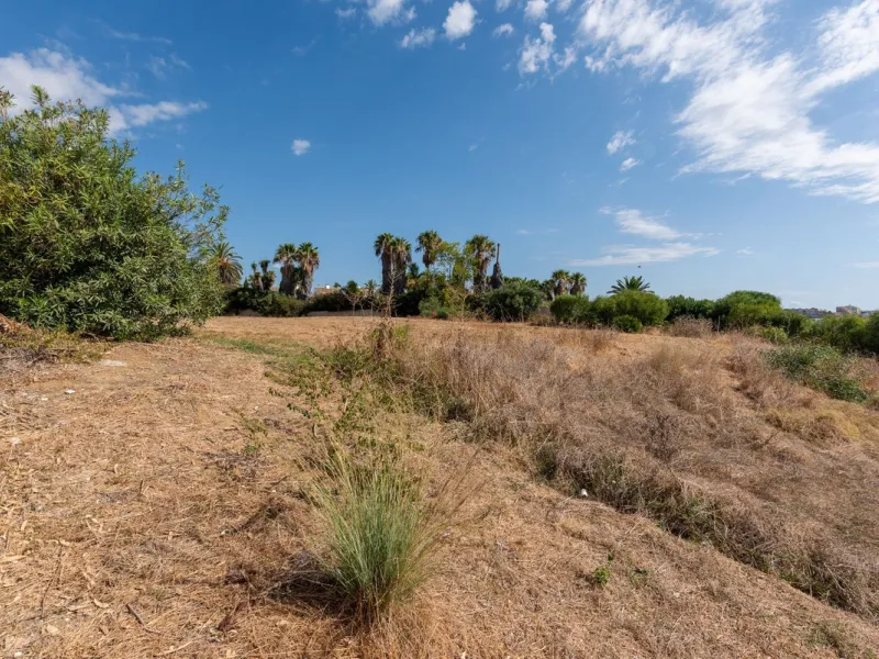 Investment Opportunity in Estepona – Villa with 8,000 m² Plot