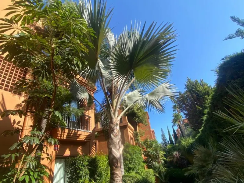 Discover the elegance and tranquility of Benatalaya, an exclusive development located on the Atalaya , Estepona. Surrounded by golf courses and nature, this prestigious gated community offers a unique lifestyle, combining security, comfort, and a privileg