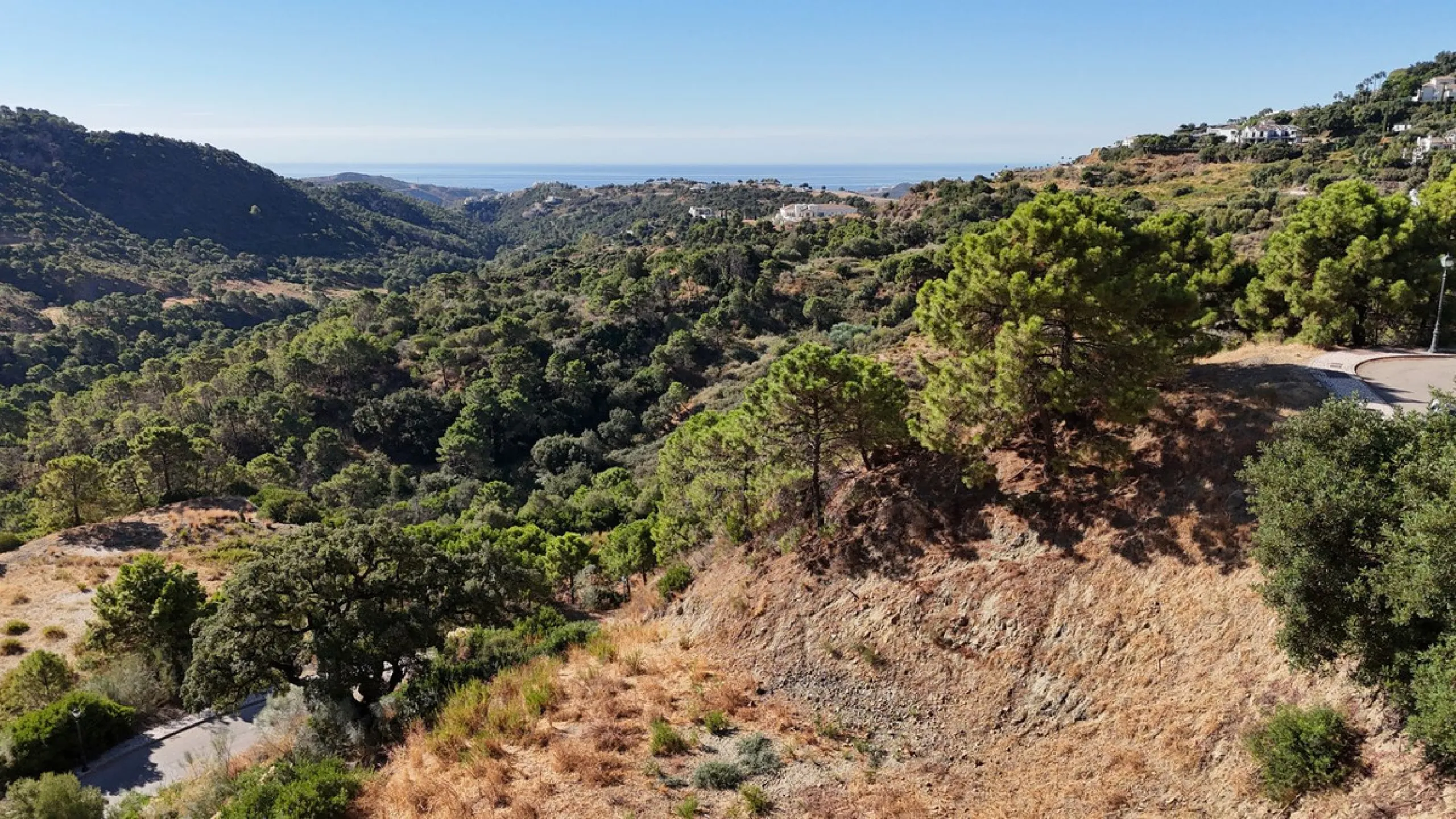 Super views with a plot!!
