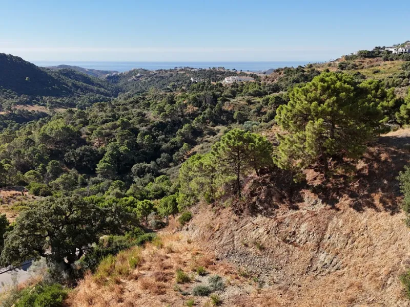 Super views with a plot!!