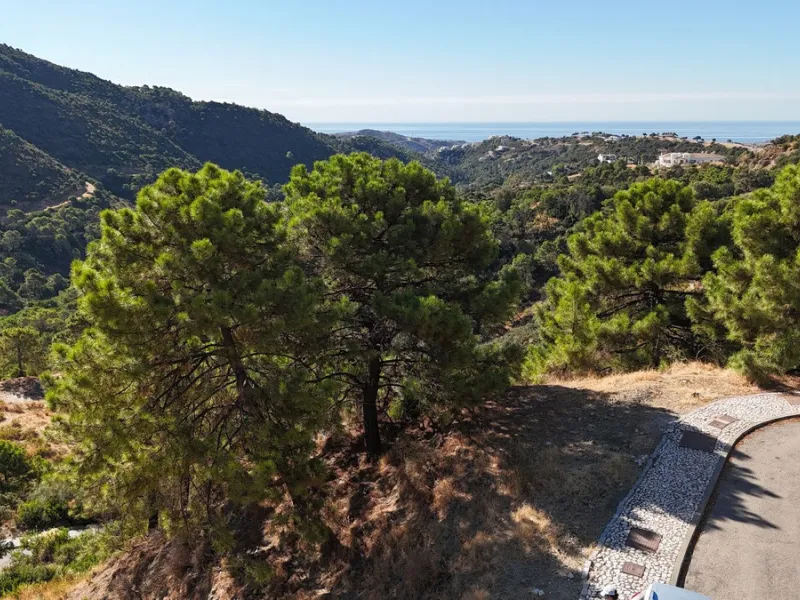 Super views with a plot!!