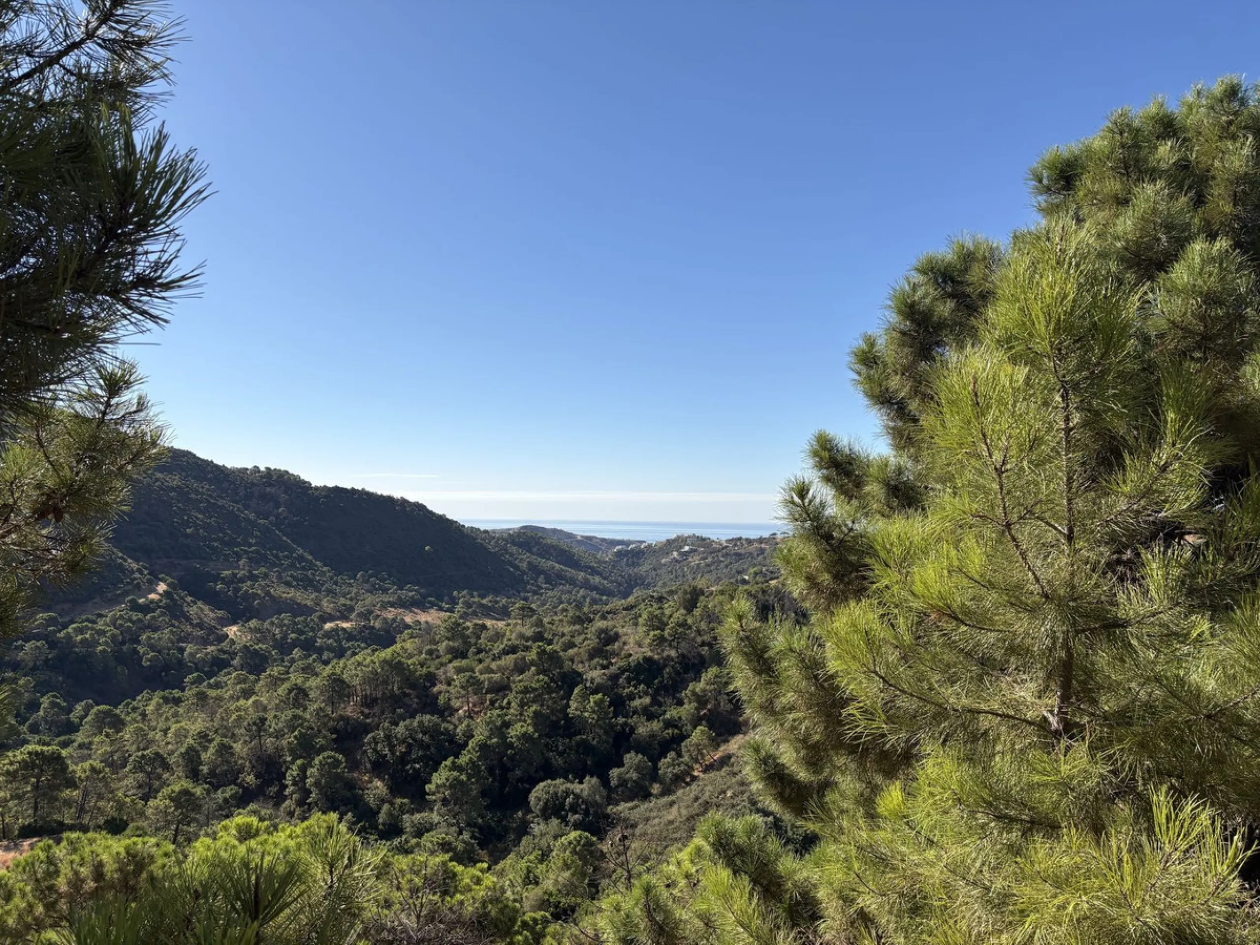 Super views with a plot!!