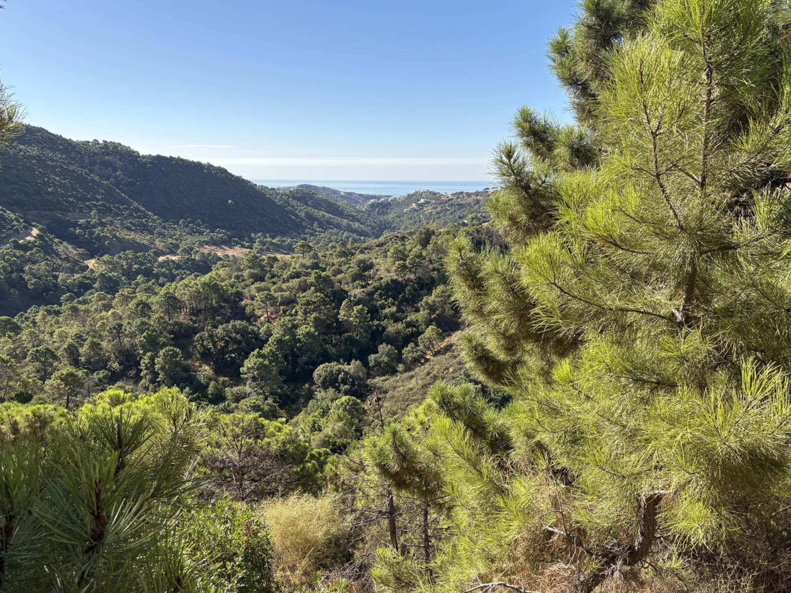 Super views with a plot!!