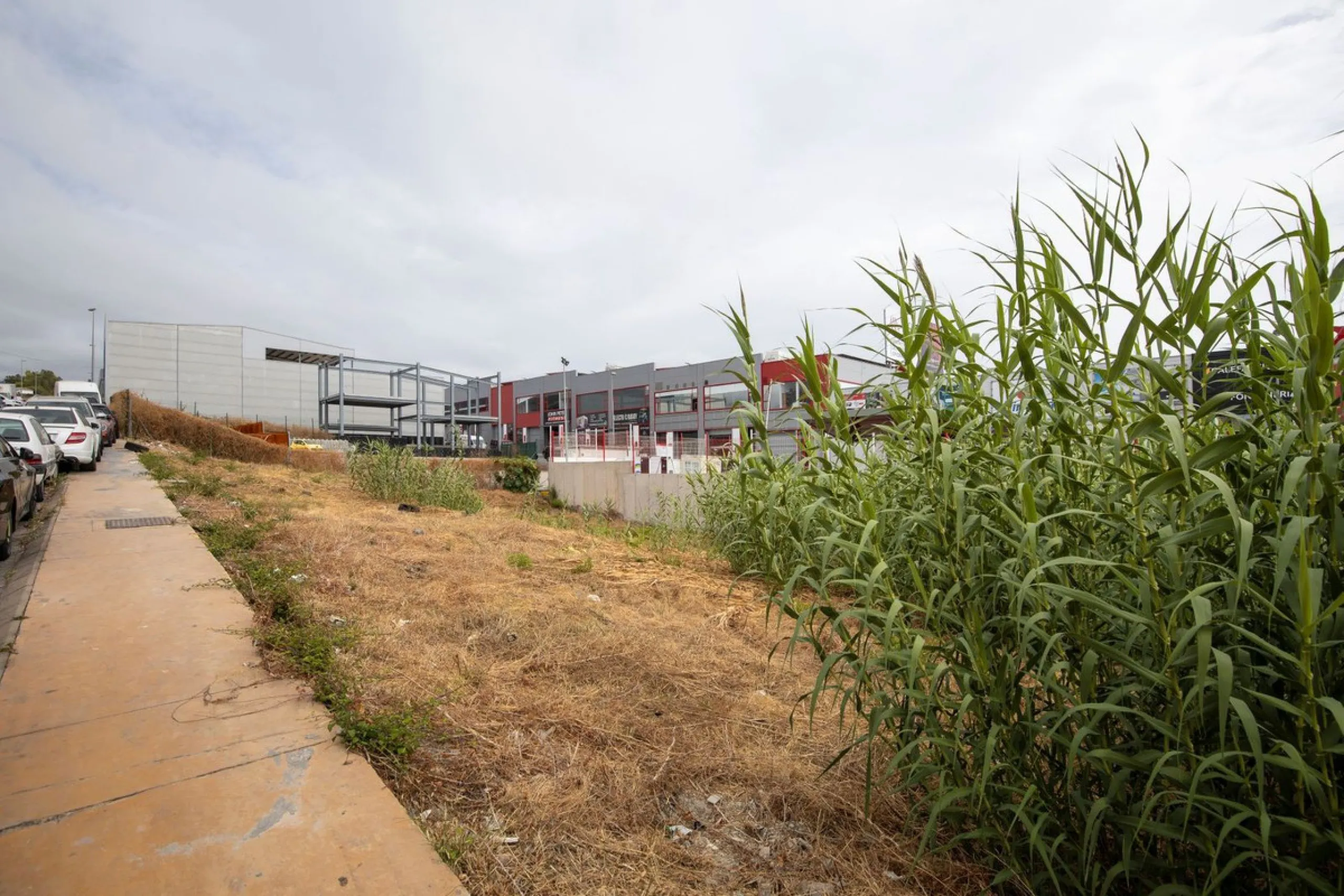 Investment opportunity in the San Pedro de Alcántara Polygon
